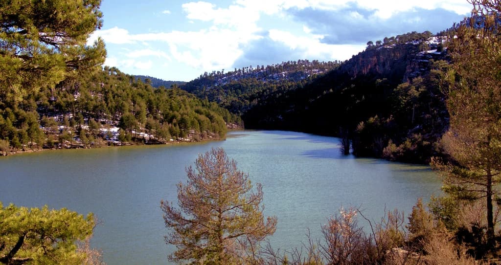Embalse de La Toba rodeado de pinares