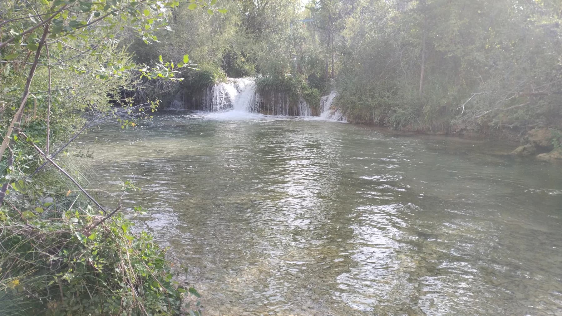Pequeña cascada que cae sobre una poza rodeada de vegetación