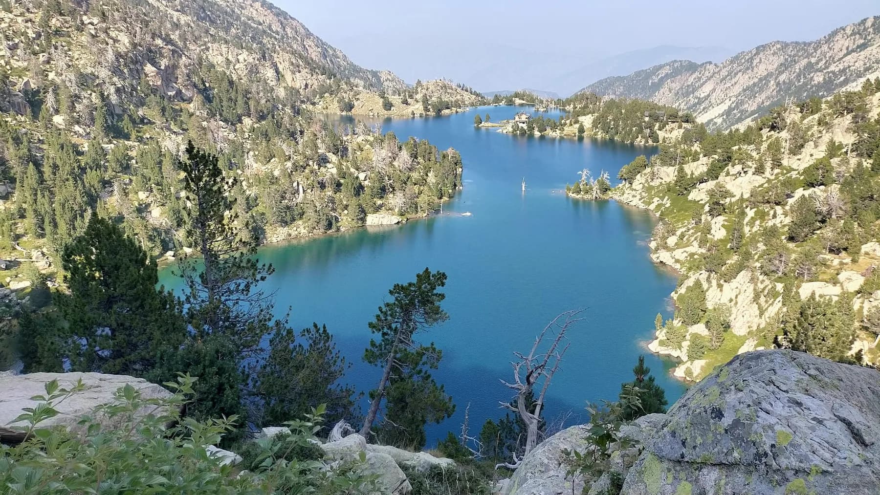 Lago azul entre montañas rocosas y bosque de coníferas