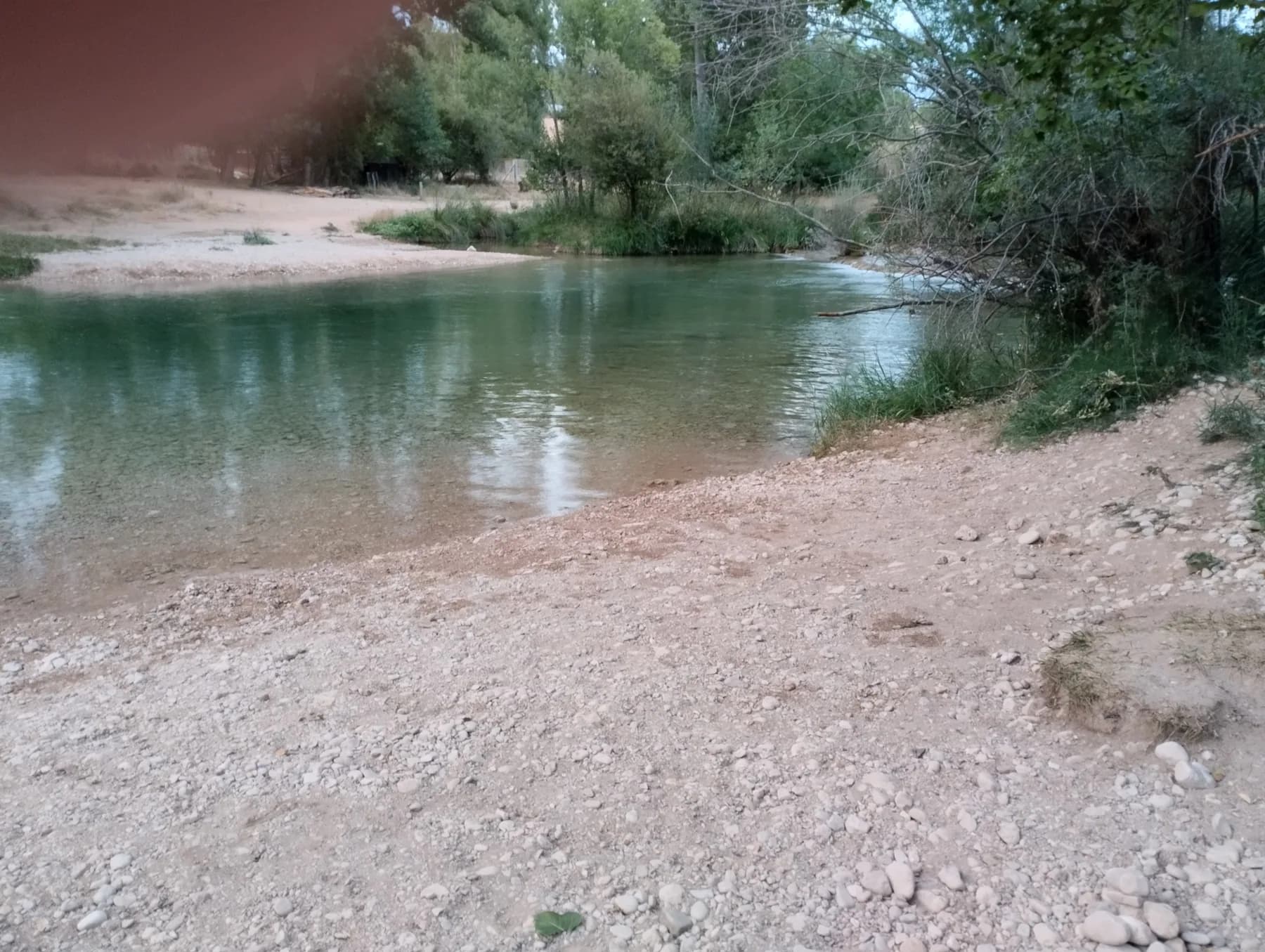 Remanso transparente junto a una orilla de grava y árboles