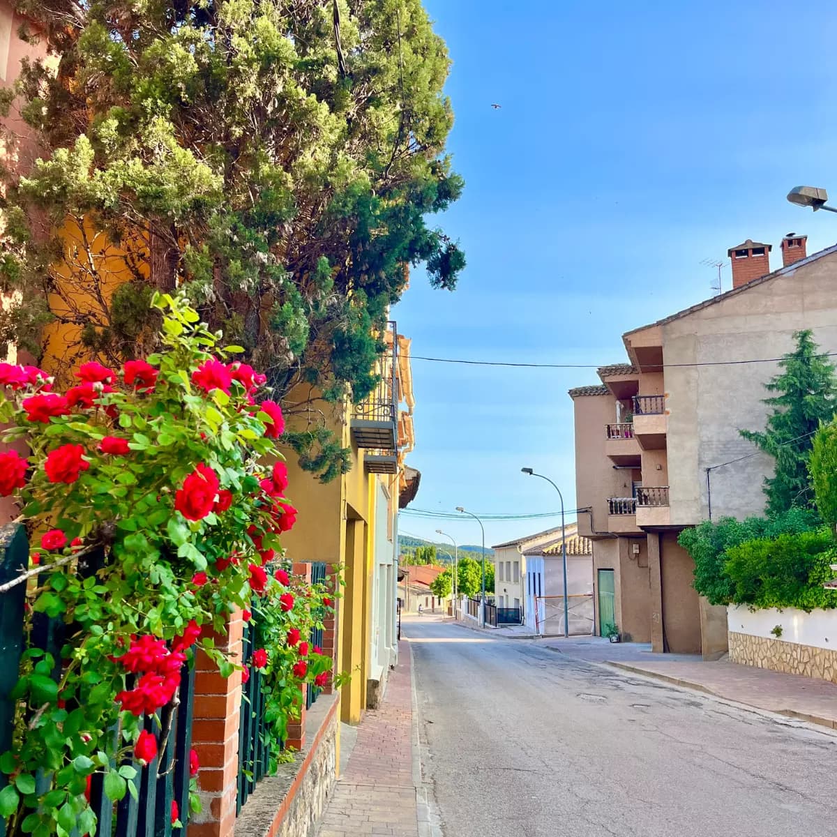 Calle de Villalba de la Sierra con casas de piedra y flores